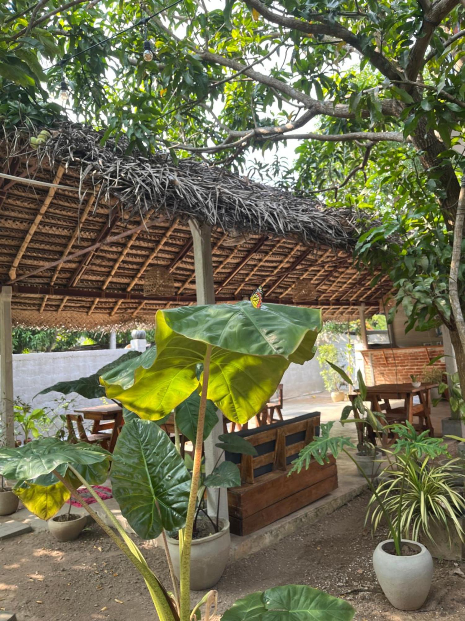Avalon Lägenhet Weligama Exteriör bild